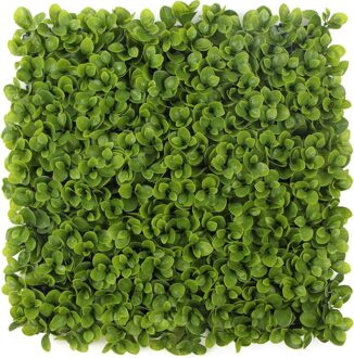 Kunstplantenwand FOLY Peperomia 1 m2