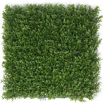 Kunstplantenwand FOLY Ruscus 1 m2
