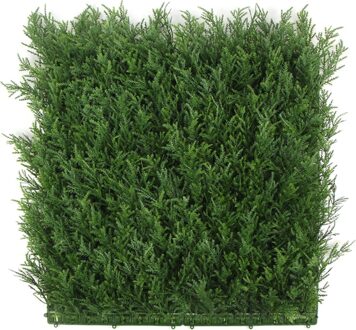 Kunstplantenwand FOLY Taxus 1 m2