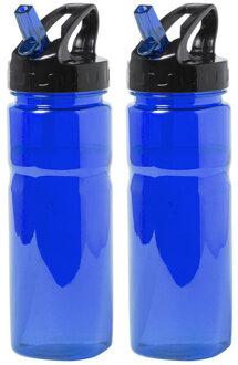 Kunststof waterfles/drinkfles/sportfles - 2x - blauw - met drinktuit - 650 ml