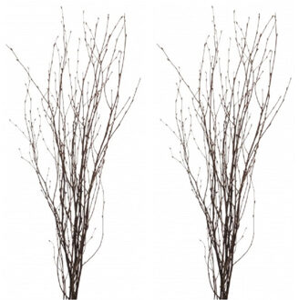 Kunsttakken - 30 berkentakken - 75 cm - bruin - paastakken - paasdecoratie