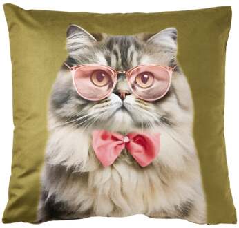 Kussen kat - groen - 45x45 cm