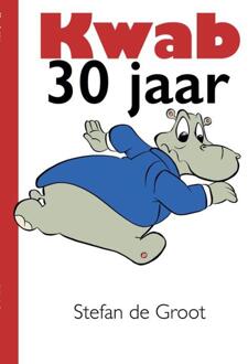 Kwab 30 Jaar - Stefan de Groot