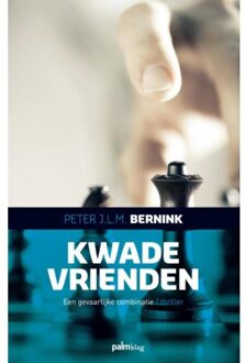 Kwade vrienden - Boek Peter J.L.M. Bernink (9491773488)