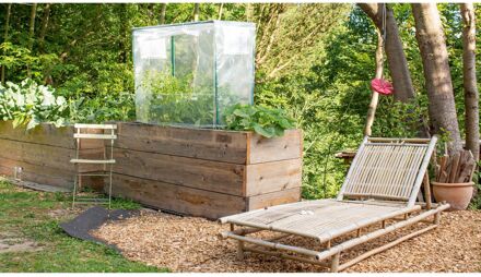 Kweekbak Afdekking Rechthoek S Transparant Pe 55x88x105cm