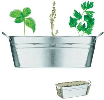 Kweekset in Zinken Teiltje