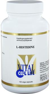 L-Histidine 500 mg Capsules 100 st