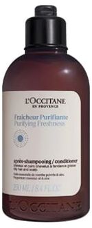 l'occitane Purifying Freshness Conditioner 250ml