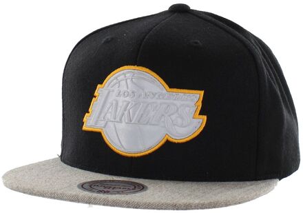 LA Lakers Heren Zwart/Grijs Cap