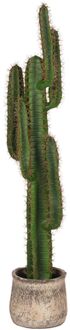 LABEL51 Kunstplant Cactus 30x25x130 cm