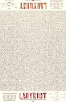 Labirynt -  Dieter Coppens, Tom Suykens (ISBN: 9789492533234)