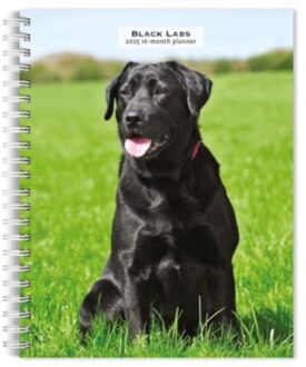 Labrador Retrievers Black 2025 Engagemen