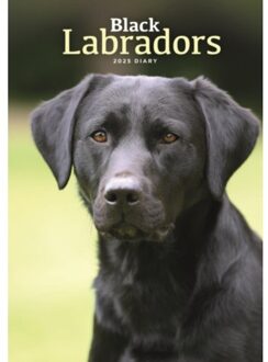 Labrador Retrievers Black A5 Diary 2025 - Calendars, Carousel