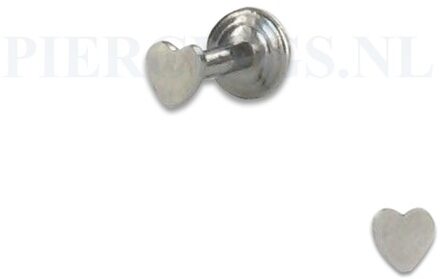 Labret 1.2 mm hart 6 mm