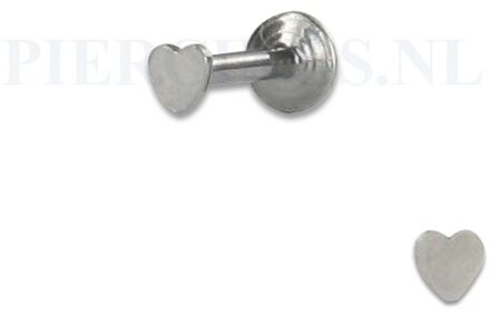 Labret 1.2 mm hart 8 mm