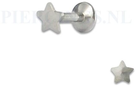 Labret 1.2 mm ster 6 mm