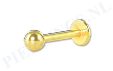 Labret 1.6 mm goudkleurig 12 mm