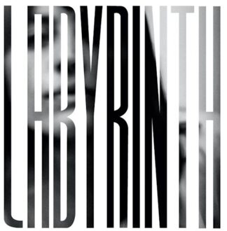 Labyrinth - Heather Woods Broderick