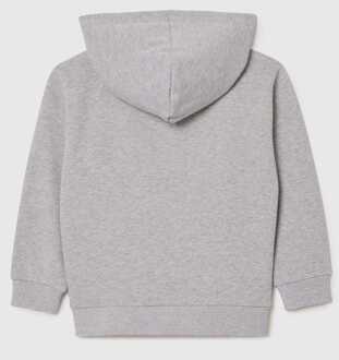 Lacoste Boy's Lacoste Juniors Hoodie in Grey - maat 16J / 176cm Grijs