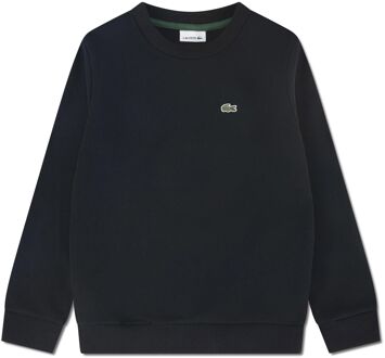 Lacoste Core Sweater Junior - 164