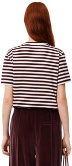 Lacoste Dames/Dames Gestreept Katoen Losjes T-shirt (Kastanjebruin Rood) - EU 34 / UK 6