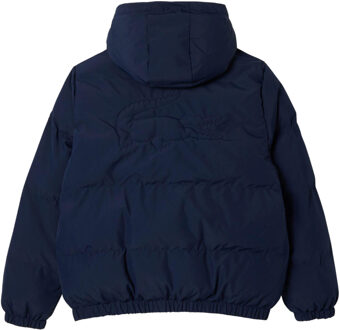 Lacoste Gewatteerd kinder-/kinderjasje (Marine) - maat 12J / 152cm Navy