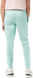 Lacoste Heren Biologisch Katoenen Slim Joggingbroek (Groen)