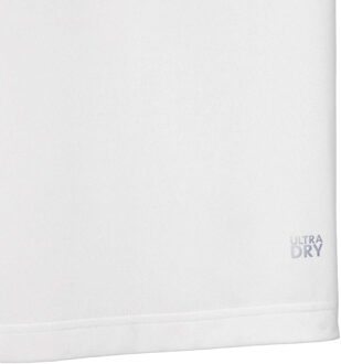 Lacoste Heren Daniil Slim Tennis Poloshirt (Wit)