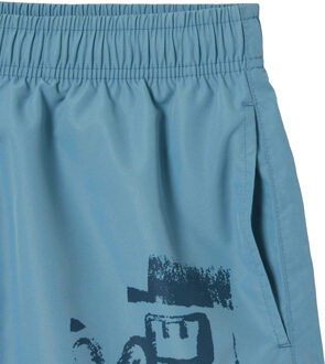 Lacoste Heren Merk Zwembroek Lang (Blauw)