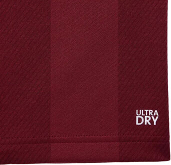 Lacoste Heren Roland-Garros Editie Poloshirt (Roze)