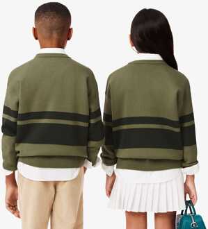 Lacoste Jongensshirt Lacoste Juniors Gestreept in Groen - 16J / 176cm