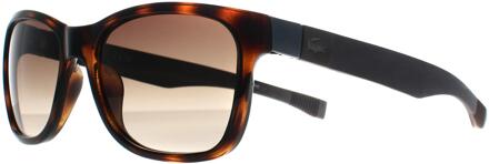 Lacoste Rechthoek Heren Havana Bruin Kleurverloop L662S