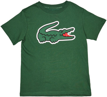 Lacoste Sport T-shirts Kinder - Groen - Maat 130 - 140 CM - Katoen Jersey Green