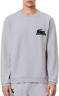 Lacoste Tons: les Gris. Stijlvolle en trendy collectie. Lacoste , Gray , Heren - Xl,L,M