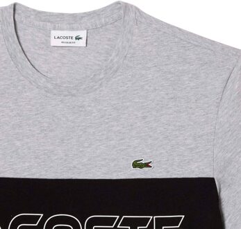 Lacoste Unisex kleurblok T-shirt voor volwassenen (Veelkleurig) Groen