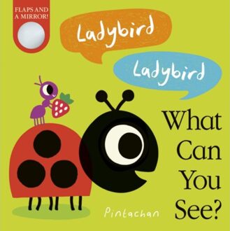 Ladybird! Ladybird! What Can You See? - What Can You See? - Amelia Hepworth