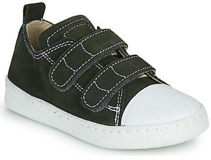 Lage Sneakers Citrouille et Compagnie NADIR" Kaki - 24,25,26,27