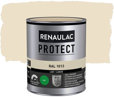 Lak Protect Ral1013 Mat 750ml