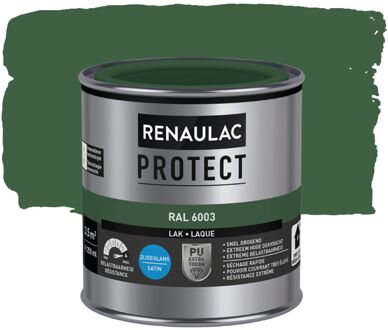 Lak Protect Ral6003 Zijdeglans 250ml