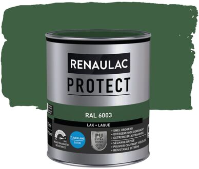 Lak Protect Ral6003 Zijdeglans 750ml