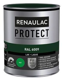 Lak Protect Ral6009 Mat 750ml