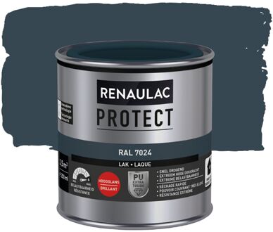 Lak Protect Ral7024 Hoogglans 250ml