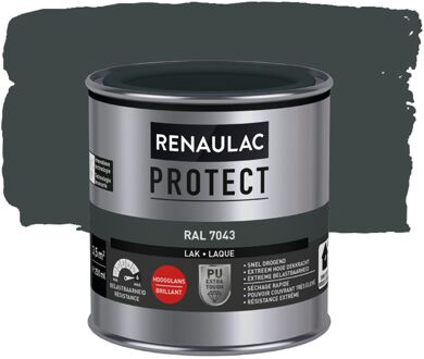Lak Protect Ral7043 Hoogglans 250ml