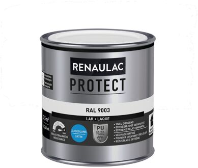 Lak Protect Ral9003 Zijdeglans 250ml