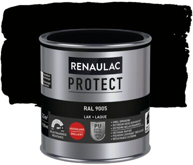 Lak Protect Ral9005 Hoogglans 250ml