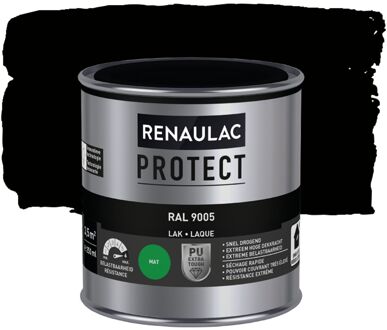 Lak Protect Ral9005 Mat 250ml