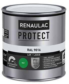 Lak Protect Ral9016 Mat 250ml