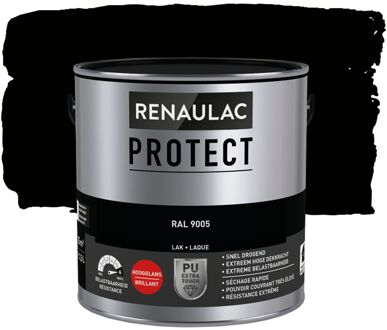 Lak Renaulac Protect Ral9005 Hoogglans 2,5l