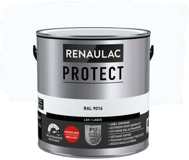 Lak Renaulac Protect Ral9016 Hoogglans 2,5l