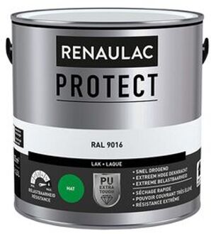 Lak Renaulac Protect Ral9016 Mat 2,5l